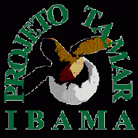 Projeto Tamar